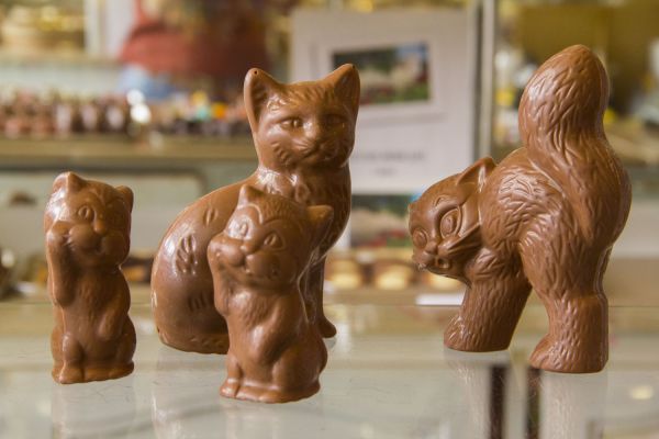 Chats en chocolat